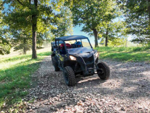 Year Round Tours!